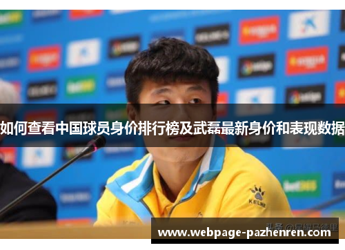 如何查看中国球员身价排行榜及武磊最新身价和表现数据