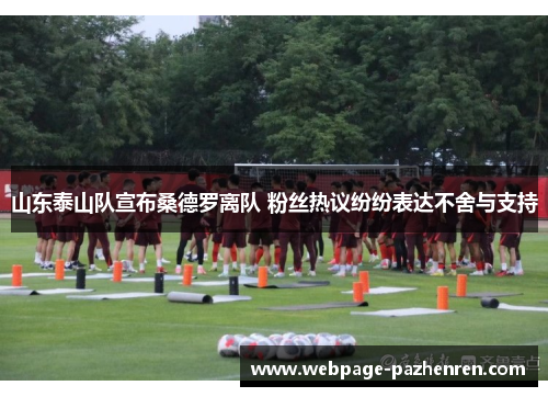 山东泰山队宣布桑德罗离队 粉丝热议纷纷表达不舍与支持