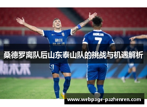 桑德罗离队后山东泰山队的挑战与机遇解析