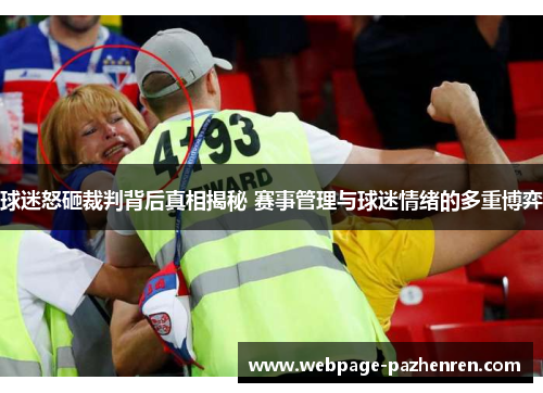 球迷怒砸裁判背后真相揭秘 赛事管理与球迷情绪的多重博弈